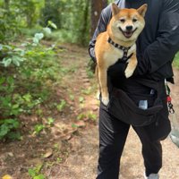 歩かない