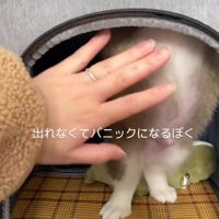 「ここだよ」