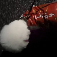 ユニークなレインコート姿でした♪