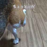 足をかばうこま君2