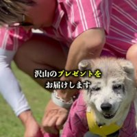 素敵なプレゼント