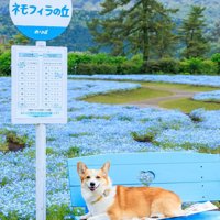 モデル