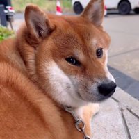 「また来るよね…？」