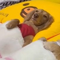 起きている…！！（笑）