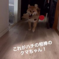 「これも持ってっていい！？」