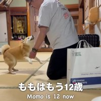 軽快なステップで大歓迎！