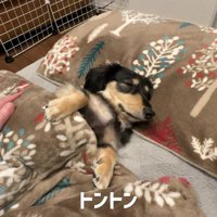 そろそろ夢の中かな？