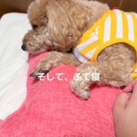 最後はふて寝