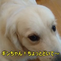 「どいて」と言ったら…