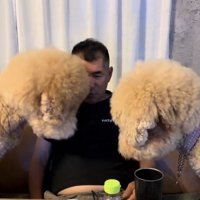 人を左右から覗く2頭の犬