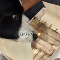 思わずペロペロ