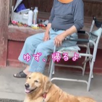 おじいちゃんと犬