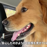 表情豊かなアルトちゃんでした