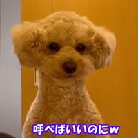 甘えん坊で健気♡