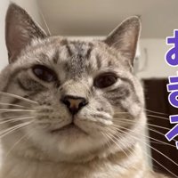 圧をかけるぽんすけくん