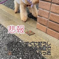 少しずつ改良されていった