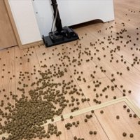 フードが散乱したお部屋