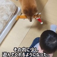 一緒に遊ぶ姿が見られるように…
