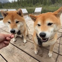 おやつを食べながら休憩中