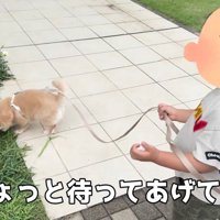 立ち止まると待っていてくれる男の子