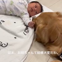 くららちゃんと赤ちゃん⑩