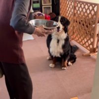 焼き芋をあげるおばあちゃん