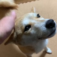 ナデナデされて嬉しそう♪