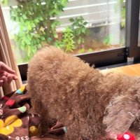 体調が急激に悪化