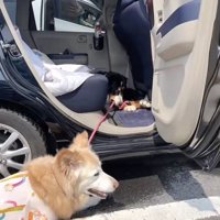 「外には出たくない」