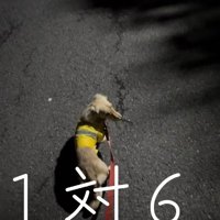 「くっ、これは勝てない…どうしよう？」