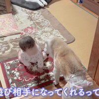 赤ちゃんと遊ぶことも
