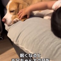 耳をなでなでする赤ちゃん