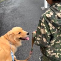 男の子を見上げる犬