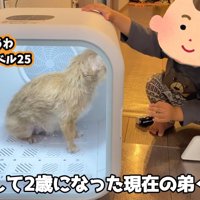 2歳になった男の子