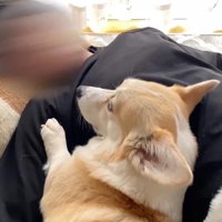 困惑してフリーズ！