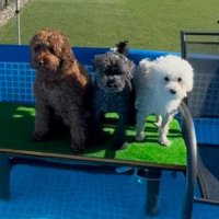 みんなでプール遊び！！