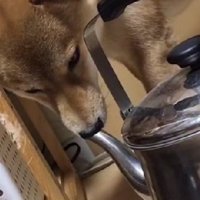 鼻にフィットしてる