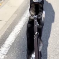 「おじいちゃんだ！」