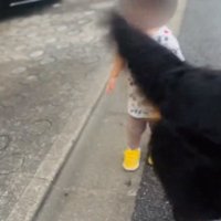 尻尾が直撃する男の子1