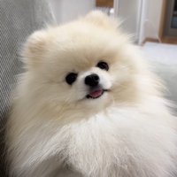 「オナラした？」「え、なんのこと？」