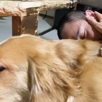 パパさんを撫でたら…？