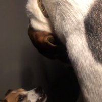 反抗するサナくん