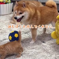 「誰も遊んでくれない…」