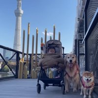 スカイツリーを見たり…