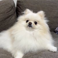 初めてのヒップホップ