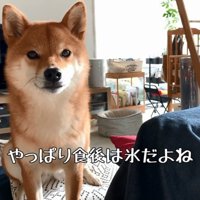 氷が欲しい花子ちゃん