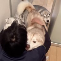 お姉ちゃん達を押しのけたいららちゃん