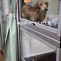 家族の反対を押し切って…