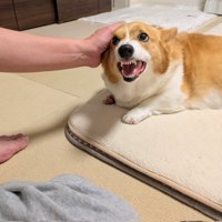 ムキッ