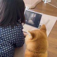 真剣